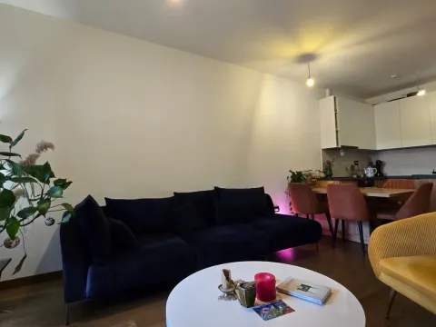 Prodaja, jednosoban stan, 49m², Ljubović, Podgorica - image 15