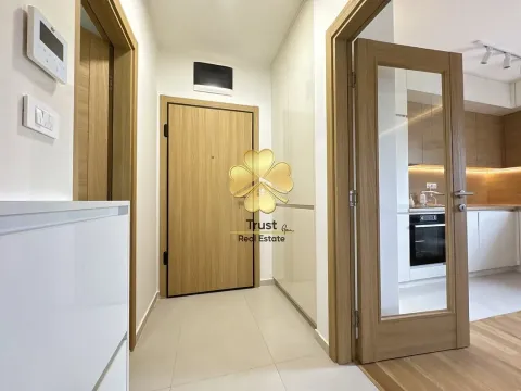 Izdavanje, jednosoban stan, 50m², City Kvart, Podgorica - image 8