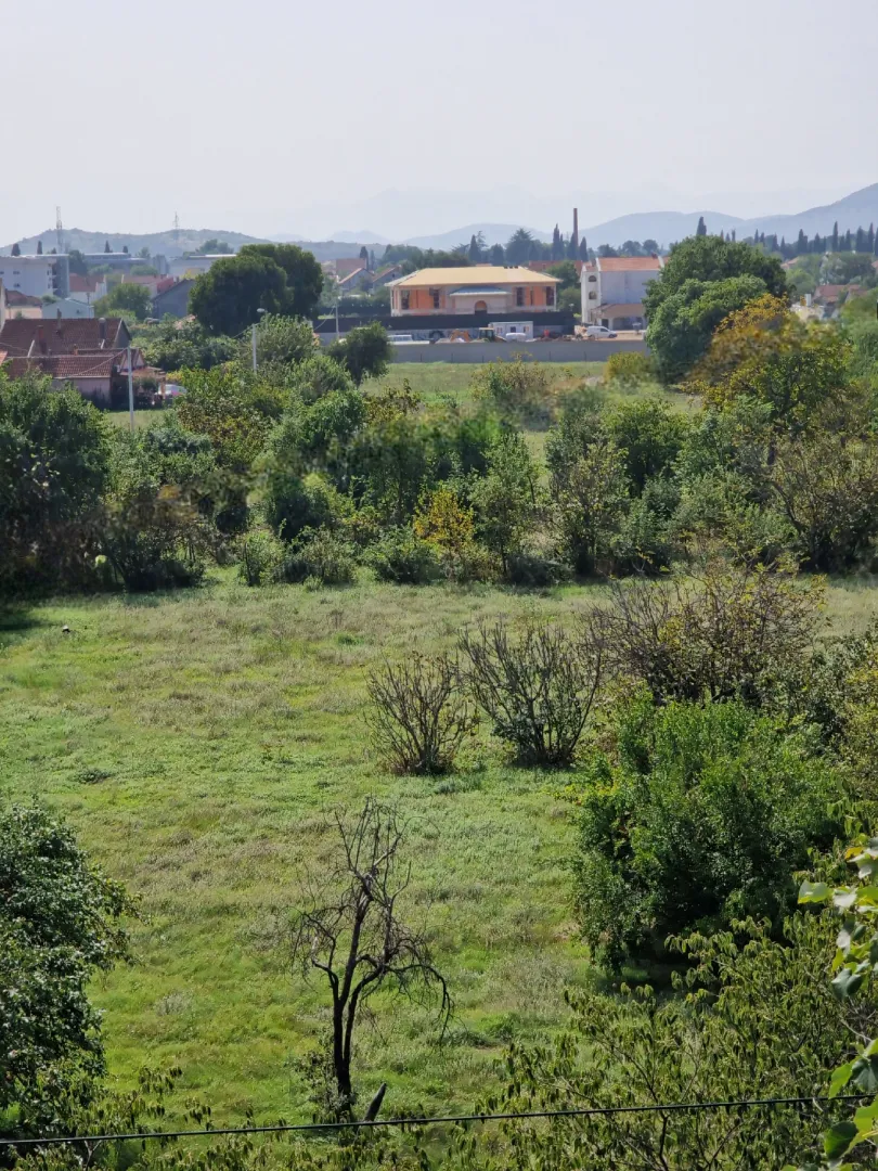 Pogled na zeleno imanje sa drvećem i okruženje sa kućama u pozadini.