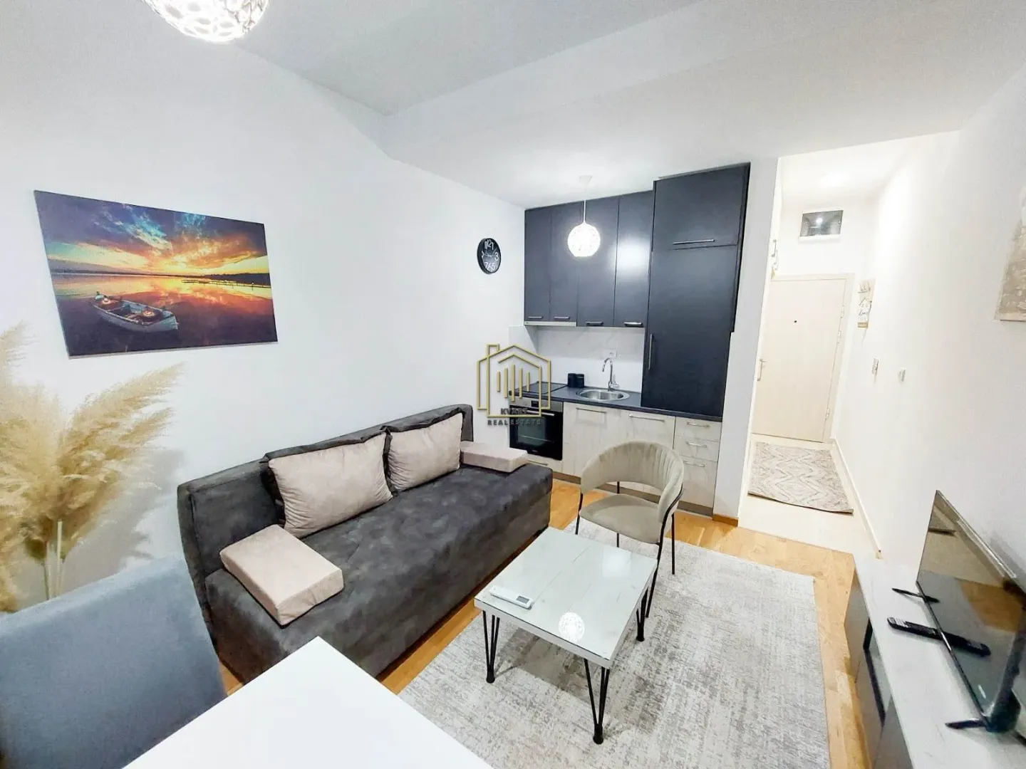 Living room with a sofa, coffee table, and a corner kitchen.
