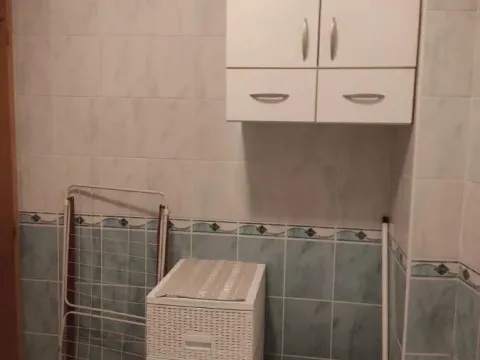 Izdavanje, dvosoban stan, 50m², Banatić, Novi Sad Sve Podlokacije - image 3