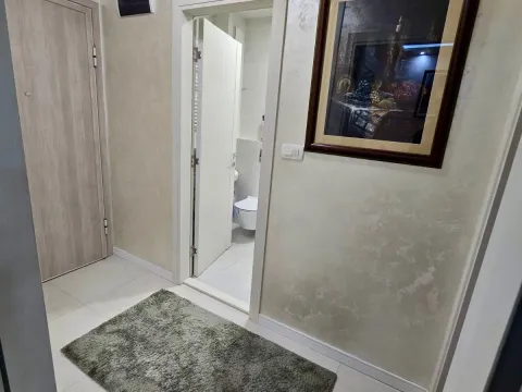 Izdavanje, jednosoban stan, 49m², Central Point, Podgorica - image 8