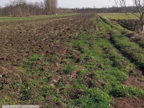 Prodaja, plac, 6300m², Urovci, Obrenovac - image 3