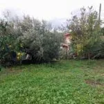 Sale, house, 80m², Bar, Crna Gora - image 4