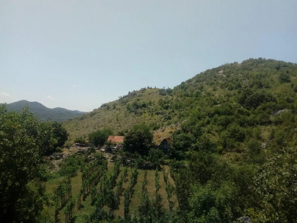Prodaja, plac, 240000m², Štitari, Cetinje