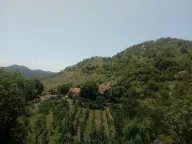 Sale, land lot, 240000m², Štitari, Cetinje - image 14
