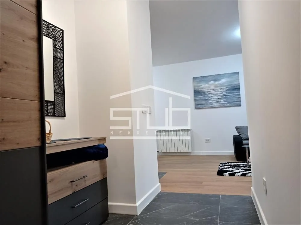 Izdavanje, dvosoban stan, 60m², Novi Beograd Blok 63, Novi Beograd Sve Podlokacije