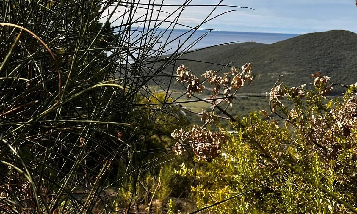 Sale, land lot, 1000m², Budva, Crna Gora