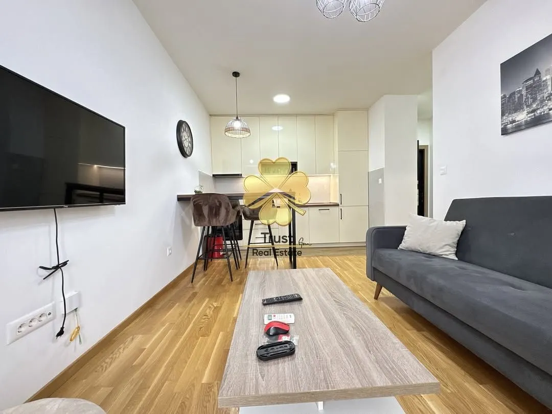 Rent, one bedroom apartment, 40m², Zabjelo, Podgorica