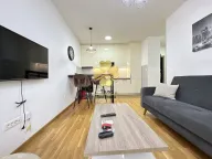 Izdavanje, jednosoban stan, 40m², Zabjelo, Podgorica - image 8