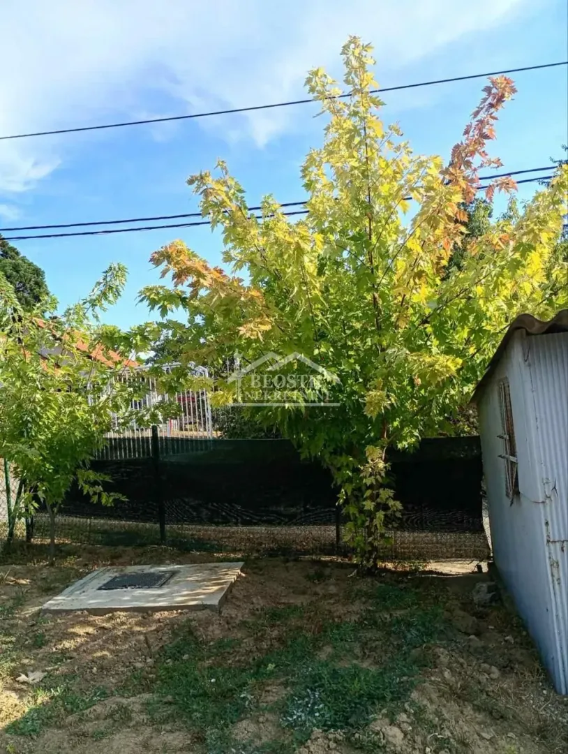Green yard with trees and an outbuilding.