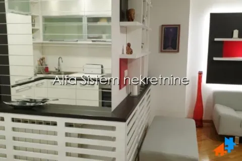 Izdavanje, dvosoban stan, 60m², Vračar Hram, Vračar Sve Podlokacije - image 4