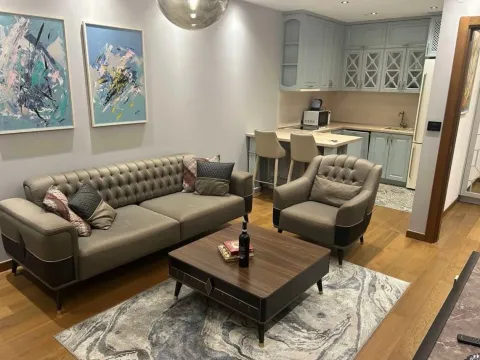 Rent, one bedroom apartment, 50m², Ljubović, Podgorica - image 1