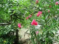 Prodaja, kuća, 78m², Orahovac, Kotor - image 25