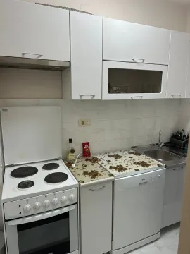Rent, two bedroom apartment, 50m², Zabjelo, Podgorica - image 6