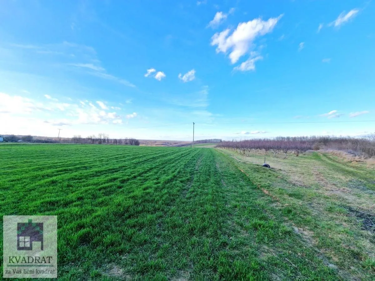 Prodaja, plac, 38000m², Kožuar, Ub
