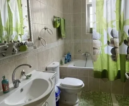 Izdavanje, kuća, 399m², Veternik, Novi Sad Sve Podlokacije - image 9