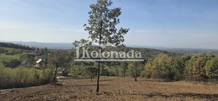 Pogled na prirodno okruženje i šumski pejzaž sa zemljištem.