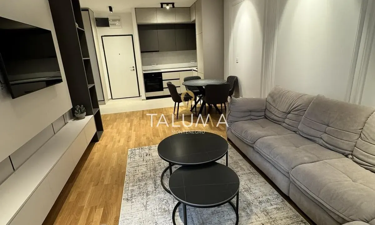 Izdavanje, jednosoban stan, 48m², Stari Aerodrom, Podgorica