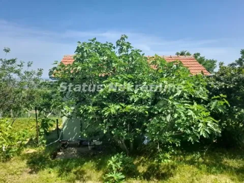 View of the yard and greenery in front of the house. - image 6