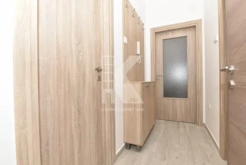 Rent, one bedroom apartment, 44m², Ljubović, Podgorica - image 11