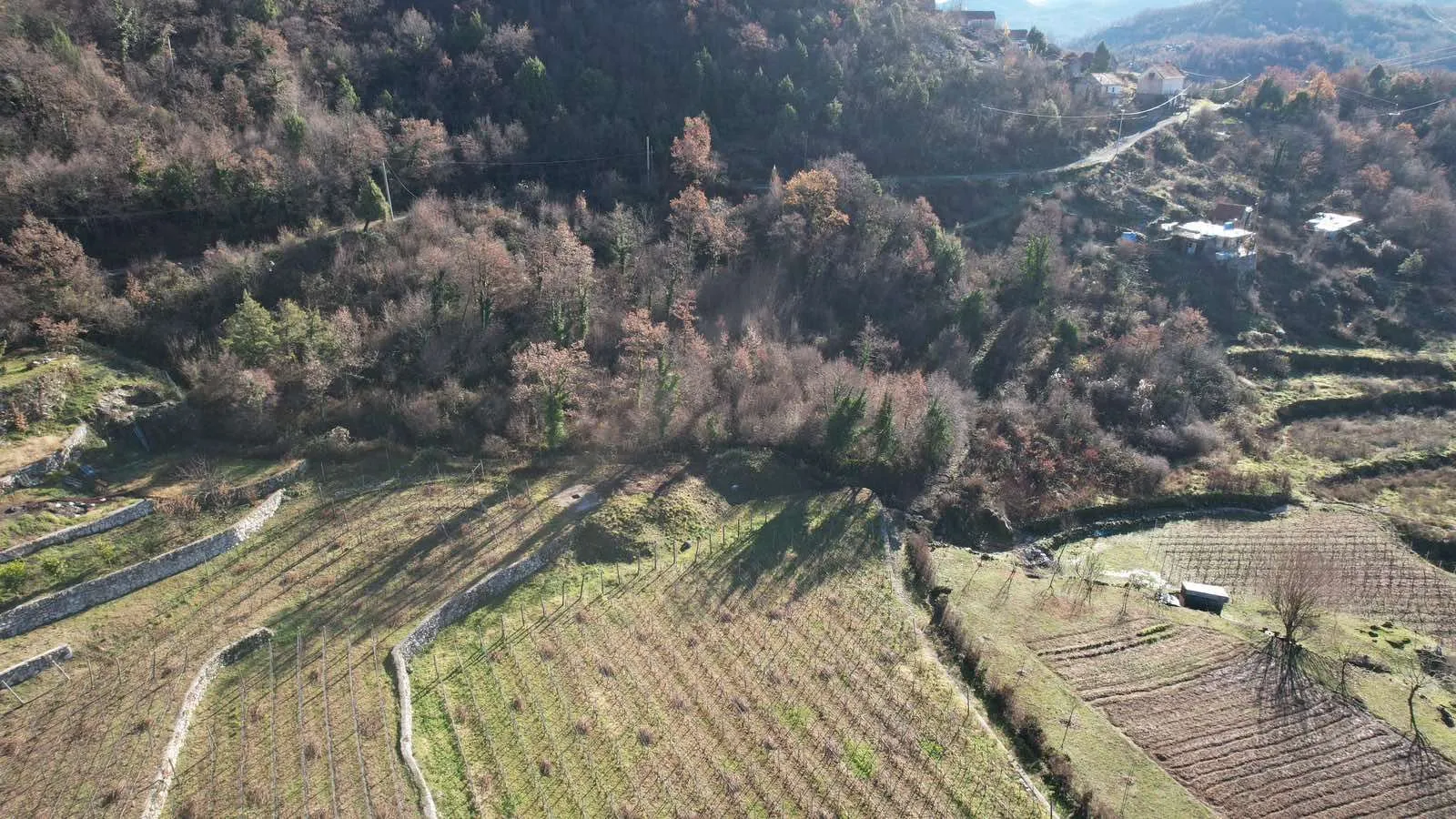 Prodaja, plac, 4400m², Cetinje, Crna Gora