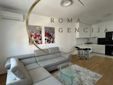 Rent, one bedroom apartment, 48m², Stari Aerodrom, Podgorica - image 1