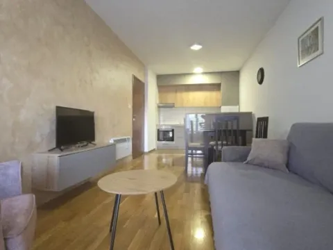 Prodaja, jednosoban stan, 48m², Zabjelo, Podgorica - image 5