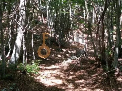 Prodaja, plac, 100000m², Cetinje, Crna Gora - image 16