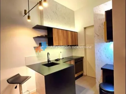 Rent, two bedroom apartment, 42m², Lion, Zvezdara Sve Podlokacije - image 6
