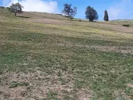 Sale, land lot, 9000m², Lepenac, Mojkovac - image 4