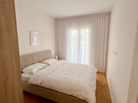 Izdavanje, jednosoban stan, 49m², Central Point, Podgorica - image 3