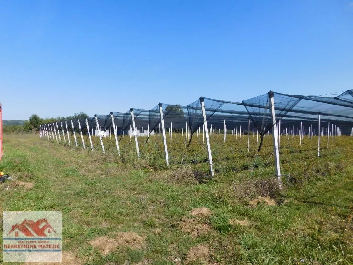 Prodaja, plac, 350m², Kragujevac, Srbija
