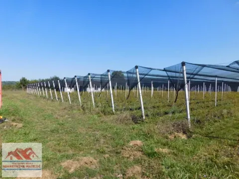 Sale, land lot, 350m², Kragujevac, Srbija - image 10