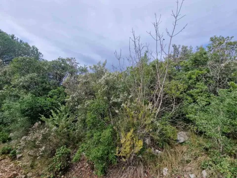 Prodaja, plac, 930m², Zagora, Kotor - image 17