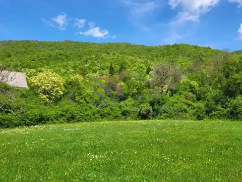 Prodaja, plac, 160000m², Nikšić, Crna Gora - image 7