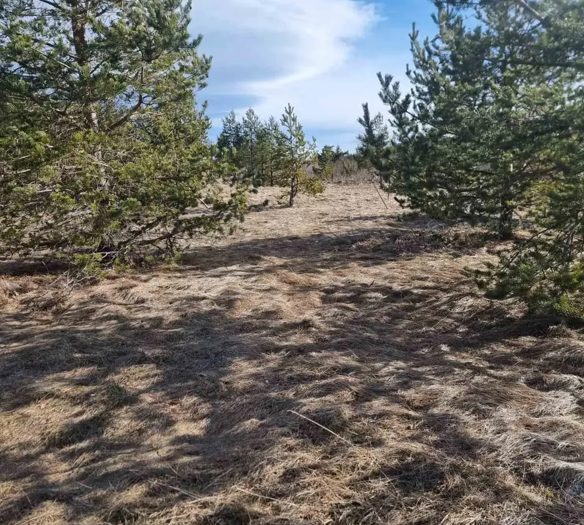 Prodaja, plac, 2200m², Žabljak, Crna Gora