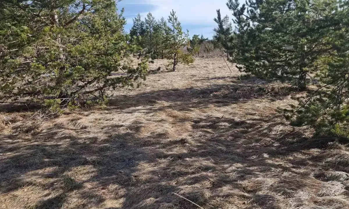 Sale, land lot, 2200m², Žabljak, Crna Gora