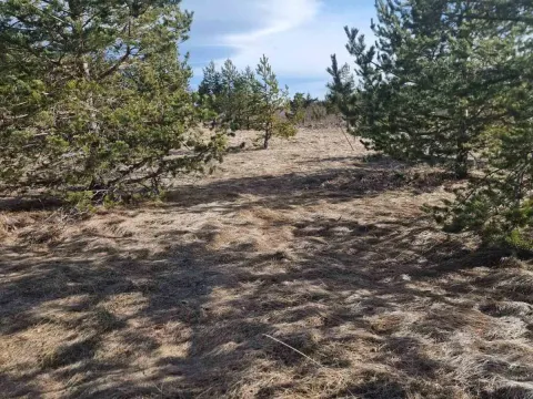 Sale, land lot, 2200m², Žabljak, Crna Gora