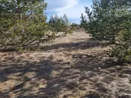 Sale, land lot, 2200m², Žabljak, Crna Gora - image 1