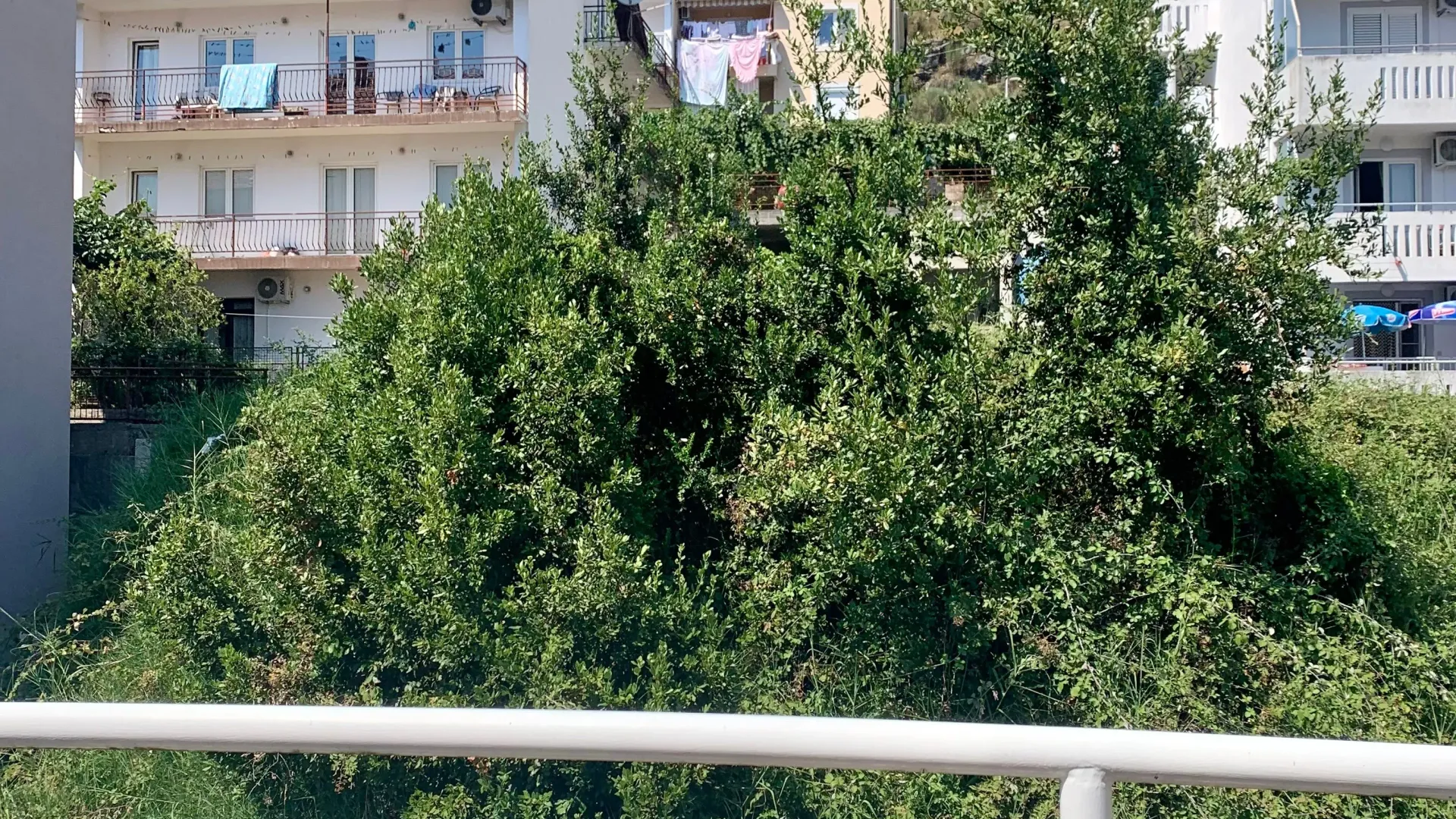 Stan-na-dan, jednosoban stan, 35m², Igalo, Herceg Novi