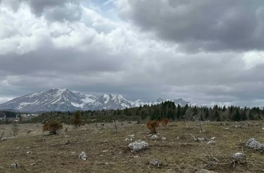 Prodaja, plac, 3983m², Žabljak, Crna Gora