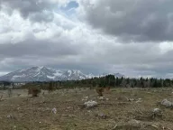 Prodaja, plac, 3983m², Žabljak, Crna Gora - image 1