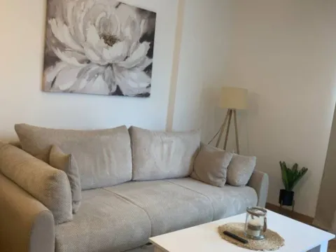 Izdavanje, jednosoban stan, 45m², Bečići, Budva - image 5