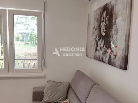 Izdavanje, stan, 25m², Čukarica, Beograd - image 3