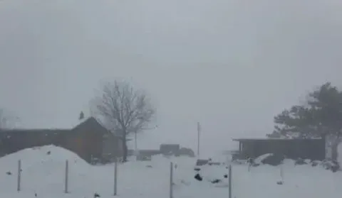 Prodaja, plac, 635m², Borča Sve Podlokacije, Beograd - image 4