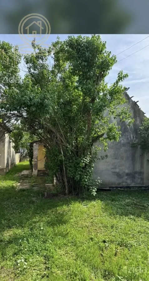 Prodaja, kuća, 469m², Futog, Novi Sad Sve Podlokacije