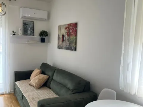Rent, one bedroom apartment, 34m², Zabjelo, Podgorica - image 4