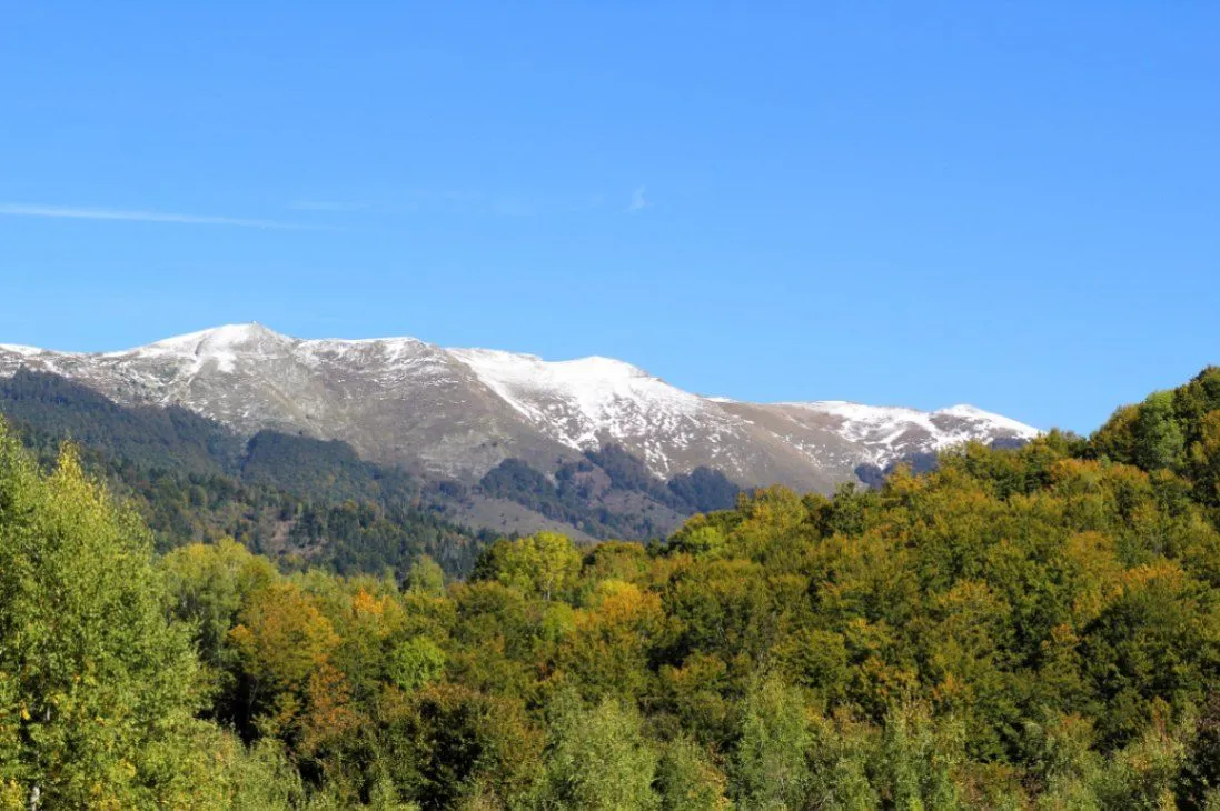 Prodaja, plac, 89208m², Padež, Kolašin