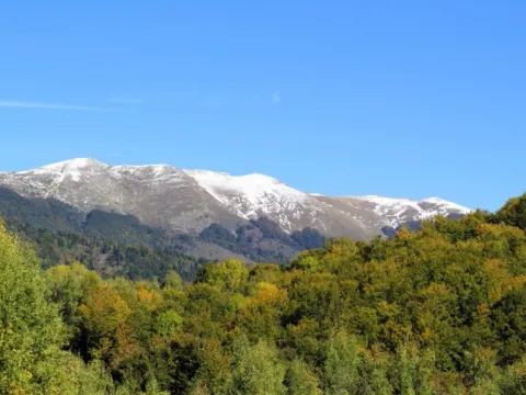 Prodaja, plac, 89208m², Padež, Kolašin - image 10